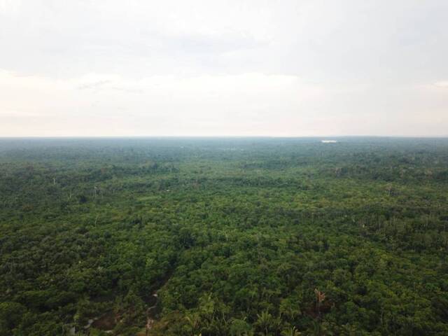 #19 - Terreno para Venda em Manacapuru - AM - 3